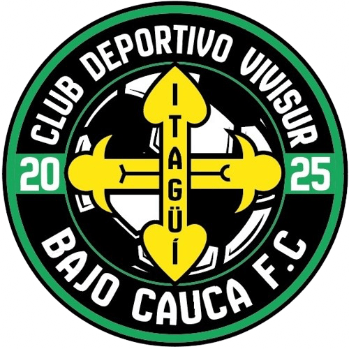 Bajo Cauca Vivisur